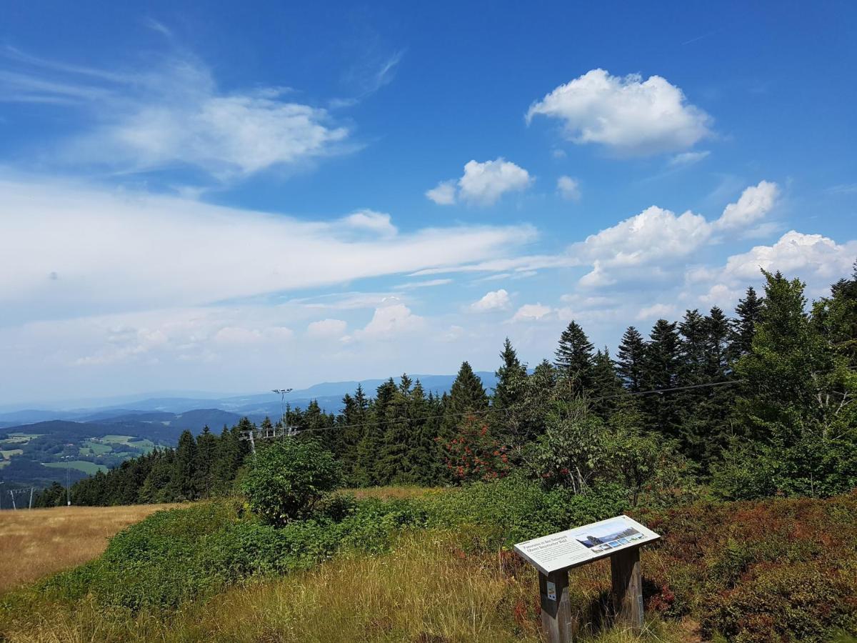 Traumurlaub Im Bayerische Wald Санкт Енглмар Екстериор снимка