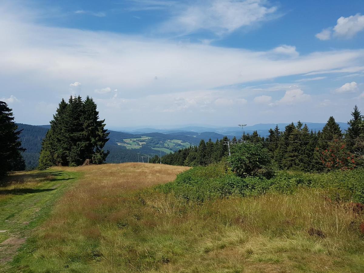 Traumurlaub Im Bayerische Wald Санкт Енглмар Екстериор снимка