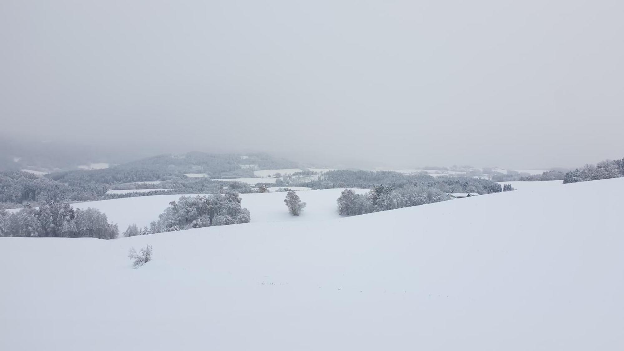 Traumurlaub Im Bayerische Wald Санкт Енглмар Екстериор снимка
