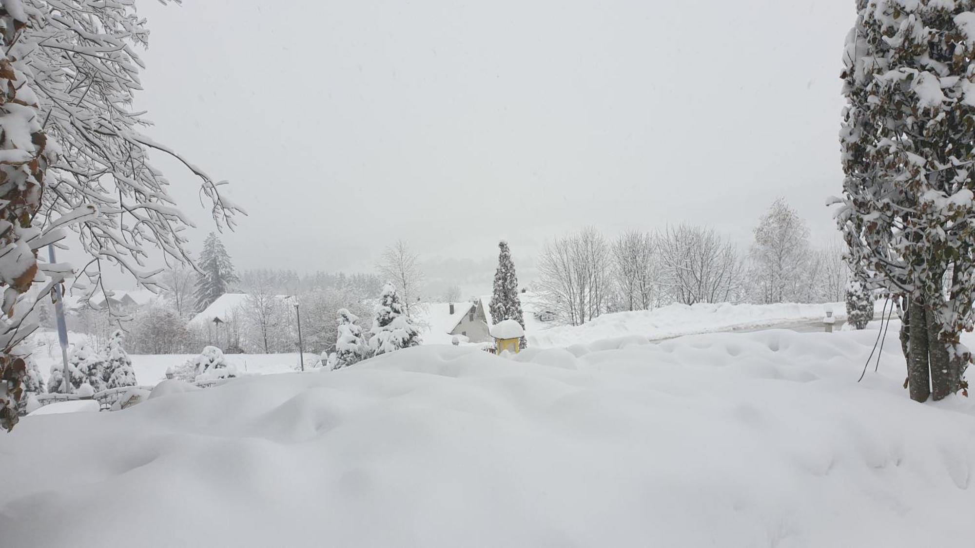 Traumurlaub Im Bayerische Wald Санкт Енглмар Екстериор снимка